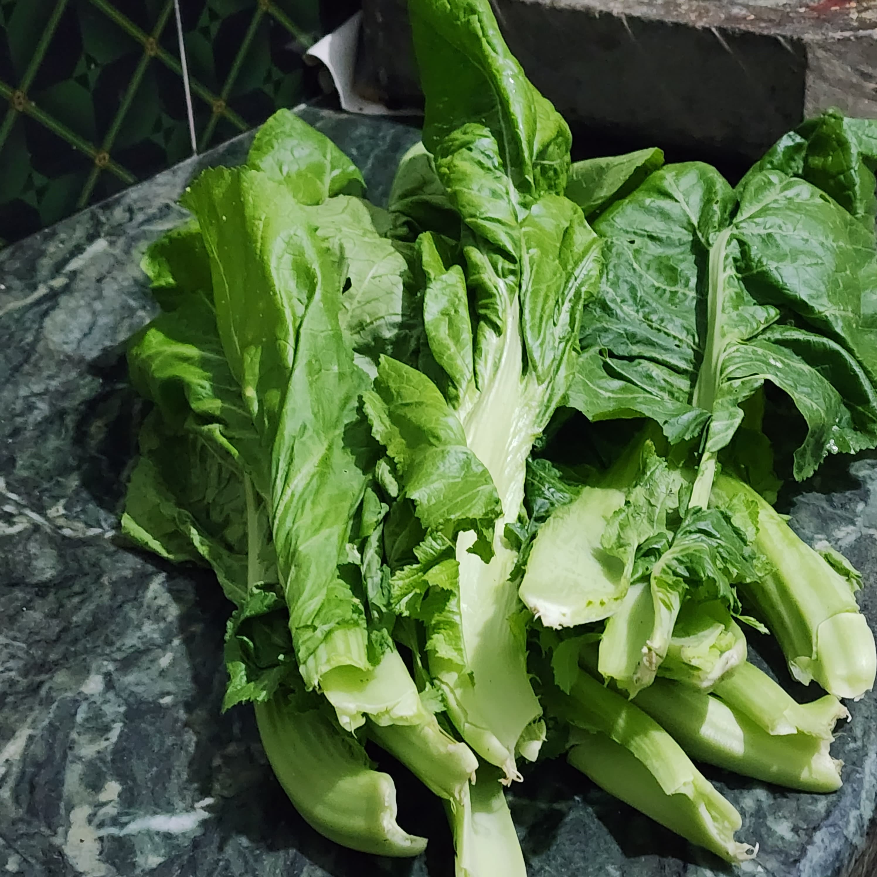 रायो साग Leafy Green