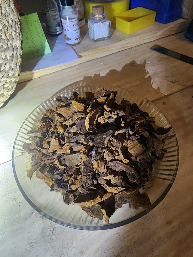 Reishi(रुख च्याउ) Dry Ganoderma lucidum