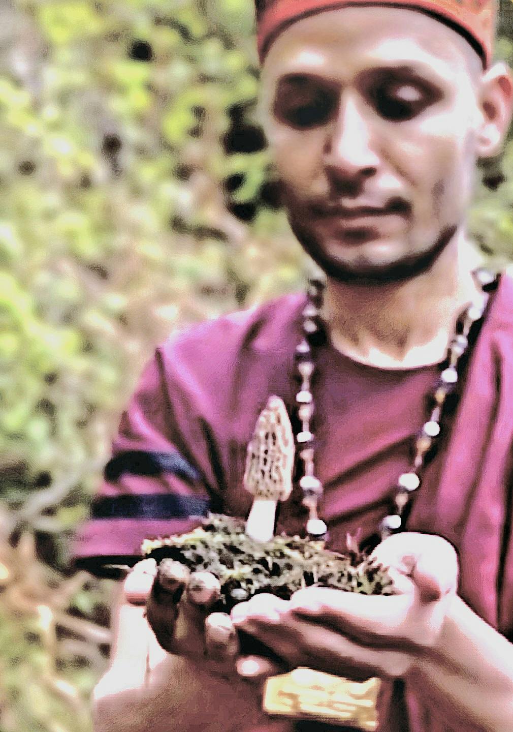Himalayan Herbs