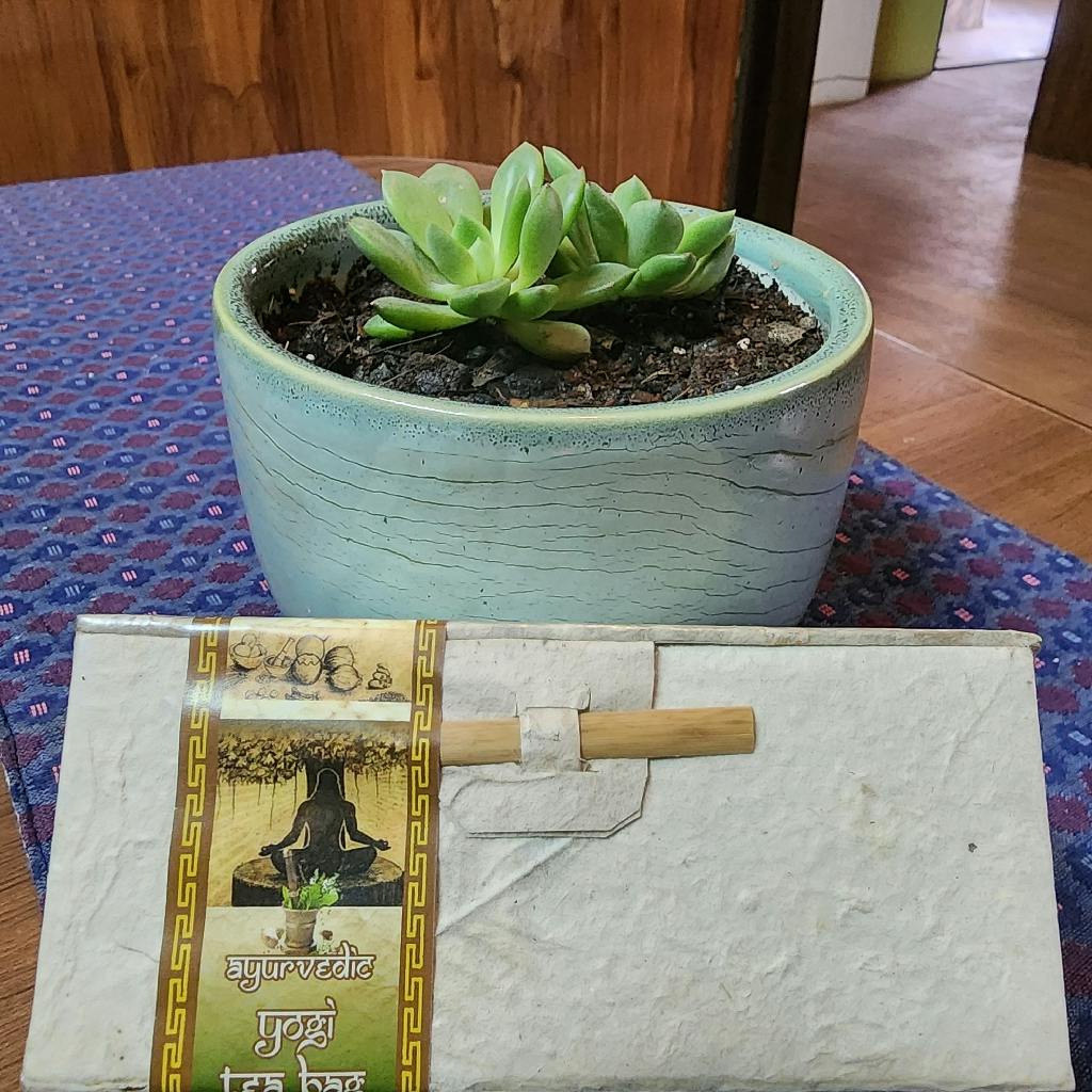 Ayurvedic yogi tea bag